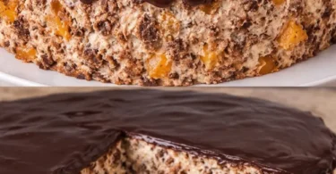 Kiesgrubenkuchen mit Mandarinen, Sahne und Schokoladenglasur